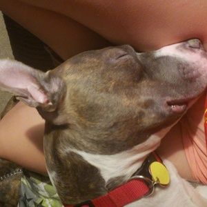 Meet your Posher, Reanna